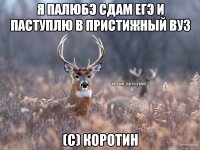 я палюбэ сдам ЕГЭ и паступлю в пристижный вуз (с) Коротин