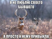 я не люблю своего бывшего я просто к нему привыкла