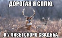 Дорогая я сплю, а у Лизы скоро свадьба