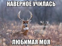 Наверное училась любимая моя