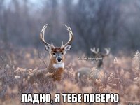  Ладно, я тебе поверю