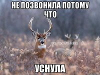 не позвонила потому что уснула