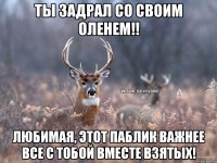 Ты задрал со своим оленем!! Любимая, этот паблик важнее все с тобой вместе взятых!