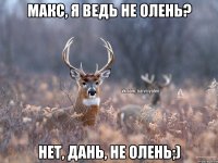 Макс, я ведь не олень? Нет, Дань, не олень;)