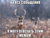 на все сообщения я могу отвечать этим мемом