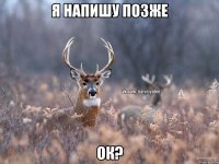 я напишу позже ок?