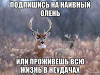 подпишись на наивный олень или проживешь всю жизнь в неудачах