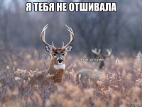 я тебя не отшивала 