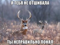 я тебя не отшивала ты неправильно понял