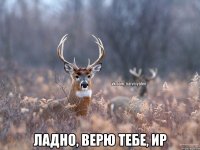  Ладно, верю тебе, Ир