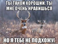 Ты такой хороший, ты мне очень нравишься но я тебе не подхожу(