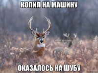 копил на машину оказалось на шубу