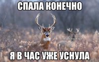 Спала конечно я в час уже уснула