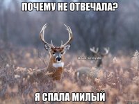 Почему не отвечала? Я спала милый