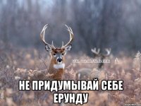  НЕ ПРИДУМЫВАЙ СЕБЕ ЕРУНДУ