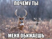 ПОЧЕМУ ТЫ МЕНЯ ОБИЖАЕШЬ