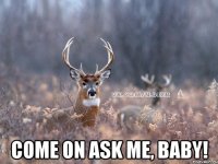  Come on ask me, baby!