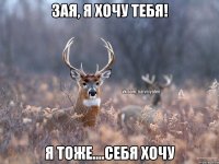 Зая, я ХОЧУ тебя! Я тоже....себя хочу