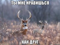 Ты мне нравишься как Друг