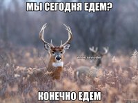 Мы сегодня едем? Конечно едем