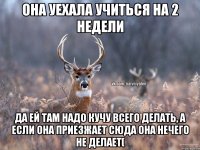 Она уехала учиться на 2 недели да ей там надо кучу всего делать, а если она приезжает сюда она нечего не делает(