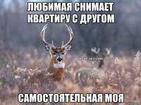 Любимая снимает квартиру с другом самостоятельная моя