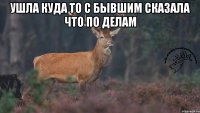 Ушла куда то с бывшим сказала что по делам 