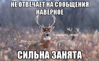 не отвечает на сообщения наверное сильна занята