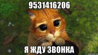 9531416206 я жду звонка