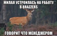 милая устроилась на работу в brazzers говорит что менеджером