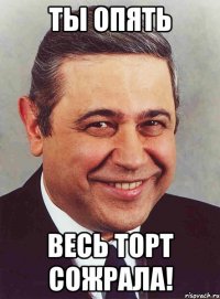 ты опять весь торт сожрала!