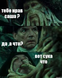 тебе нрав саша ? да ,а что? вот сука что