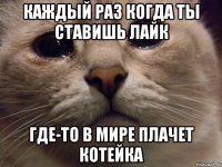 Каждый раз когда ты ставишь лайк Где-то в мире плачет котейка