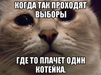 Когда так проходят выборы где то плачет один котейка.