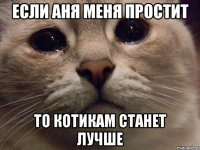 Если Аня меня простит то котикам станет лучше