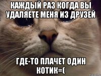 Каждый раз когда вы удаляете меня из друзей ГДЕ-ТО плачет один котик=(