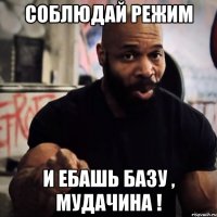 Соблюдай режим и ебашь базу , мудачина !