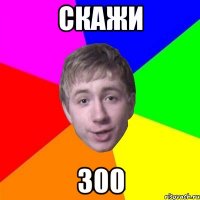 СКАЖИ 300