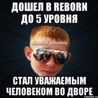 Дошел в Reborn до 5 уровня Стал уважаемым человеком во дворе