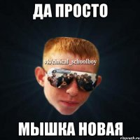 Да просто мышка новая