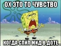 Ох это то чувство когда слил МИД в доте