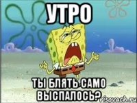 утро ты блять само выспалось?