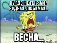 Ну где же ты ? Моя родная, любимая... весна...