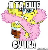 Я та еще сучка