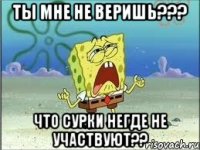 Ты мне не веришь??? Что сурки негде не участвуют??