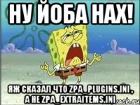 НУ ЙОБА НАХ! ЯЖ СКАЗАЛ ЧТО zpa_plugins.ini , а не zpa_extraitems.ini