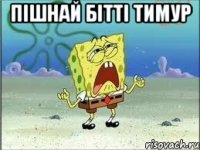 Пiшнай бiттi Тимур 