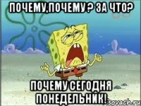 Почему,почему ? За что? Почему сегодня понедельник!