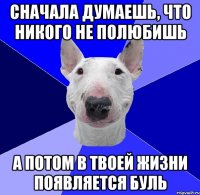 Сначала думаешь, что никого не полюбишь А потом в твоей жизни появляется буль