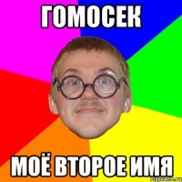 Гомосек Моё второе имя